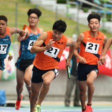 lovegame-基多体育状态火热，表现稳定连胜晋级硕果累累()